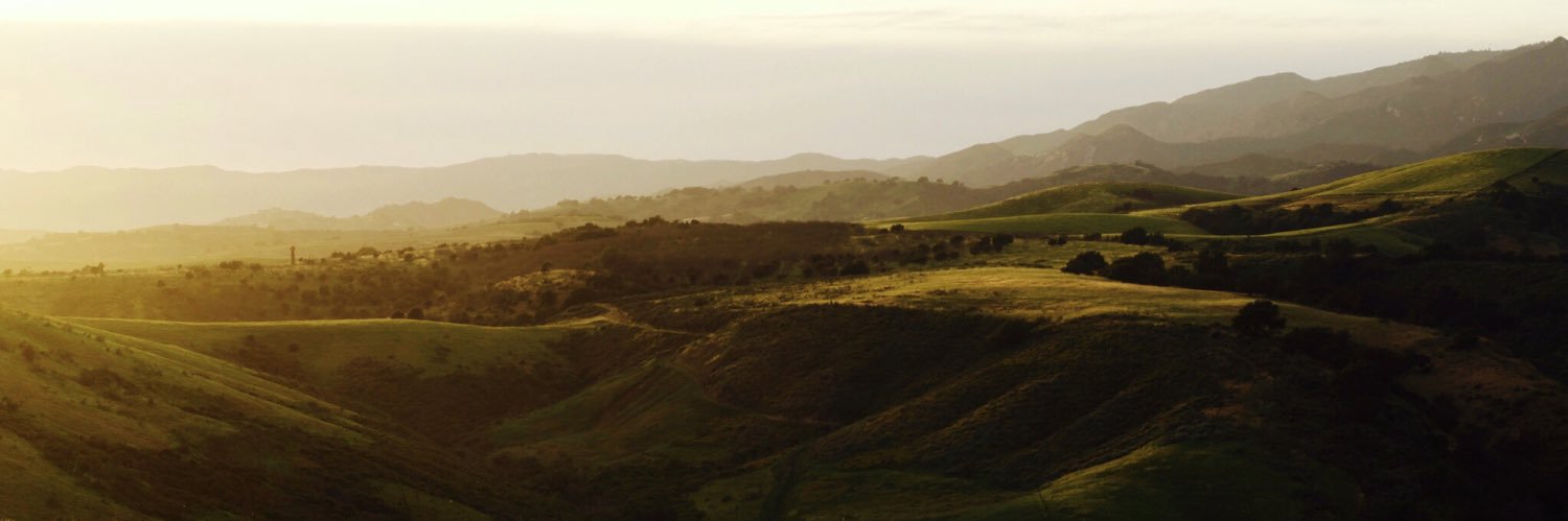 ryan // ريان banner