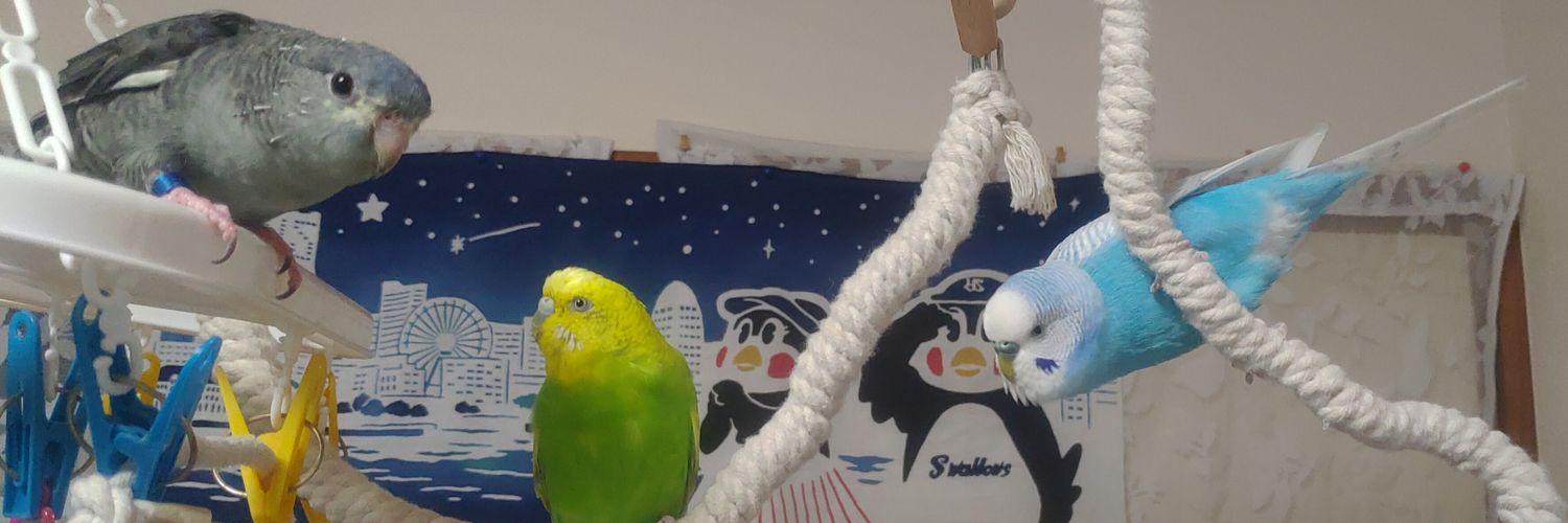 zuma（ずま）🌸 banner