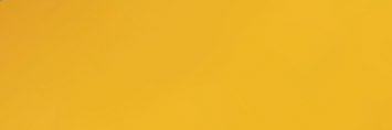 Morgan🦋 banner
