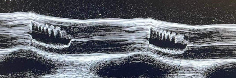 _echo_gram's profile banner image