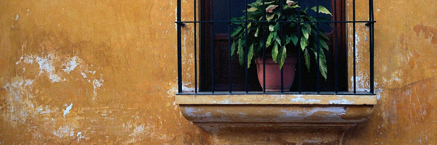 aekranjc's profile banner image
