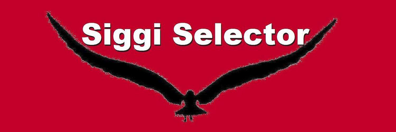 SiggiSelector's profile banner image