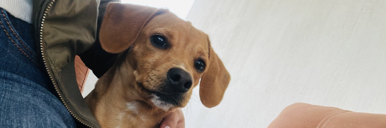 favlskr's profile banner image