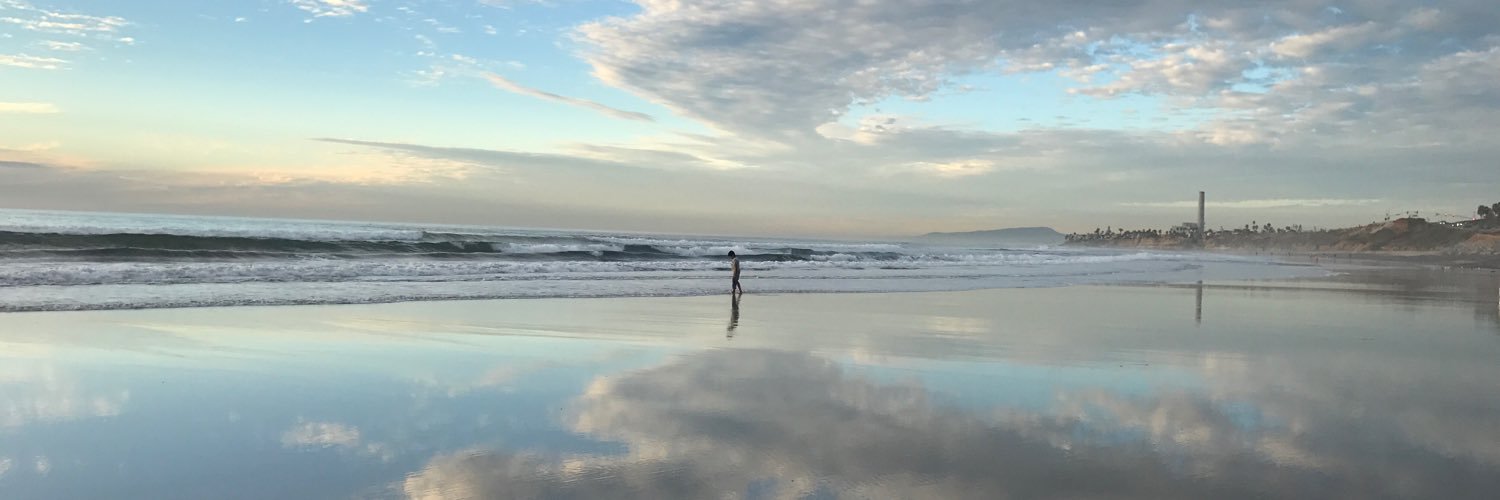 Mary Ullmann Japhet banner