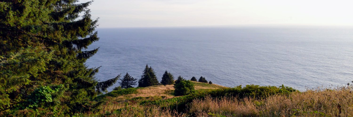 🌱 Elijah Lynn🌱 banner