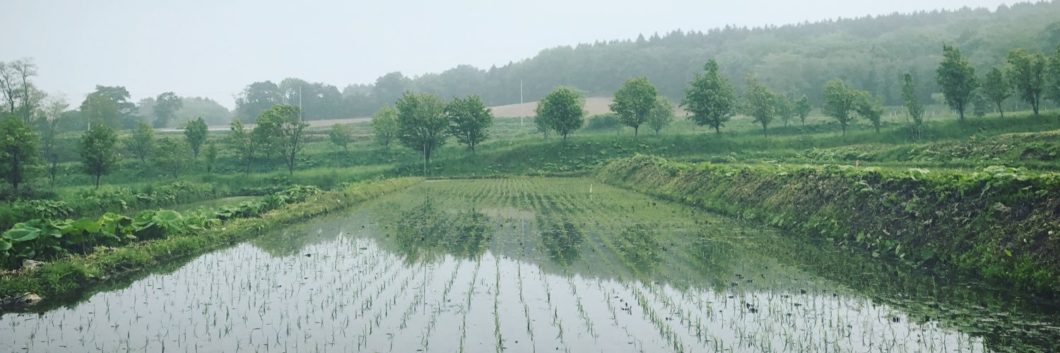 ankaju's profile banner image