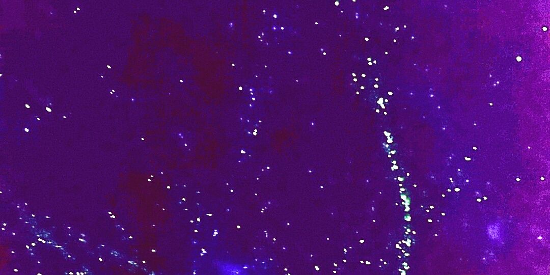 AlyssaJB22's profile banner image