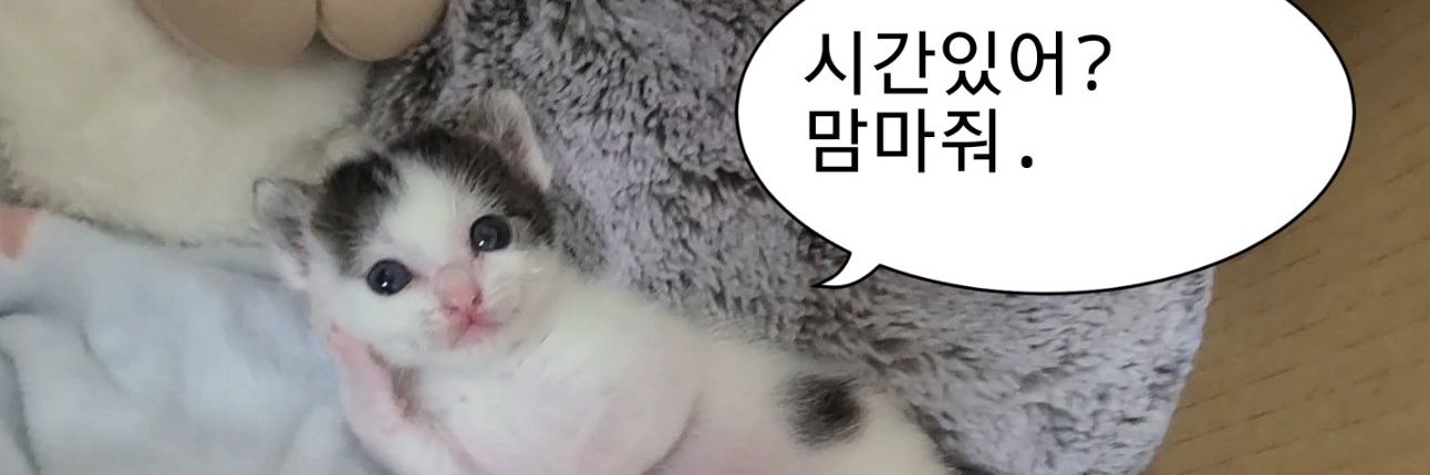 J's banner
