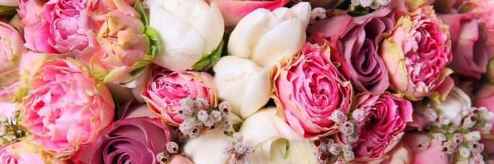 clarachavez_'s profile banner image