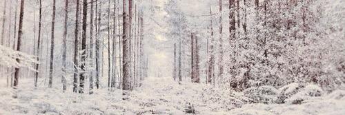 michhh95's profile banner image