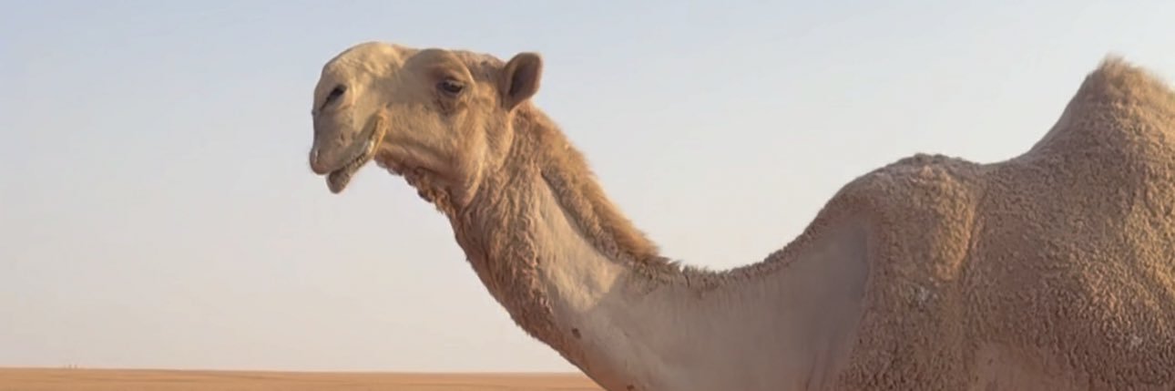 عبدالإله بن عارف الهمزاني🇸🇦 banner