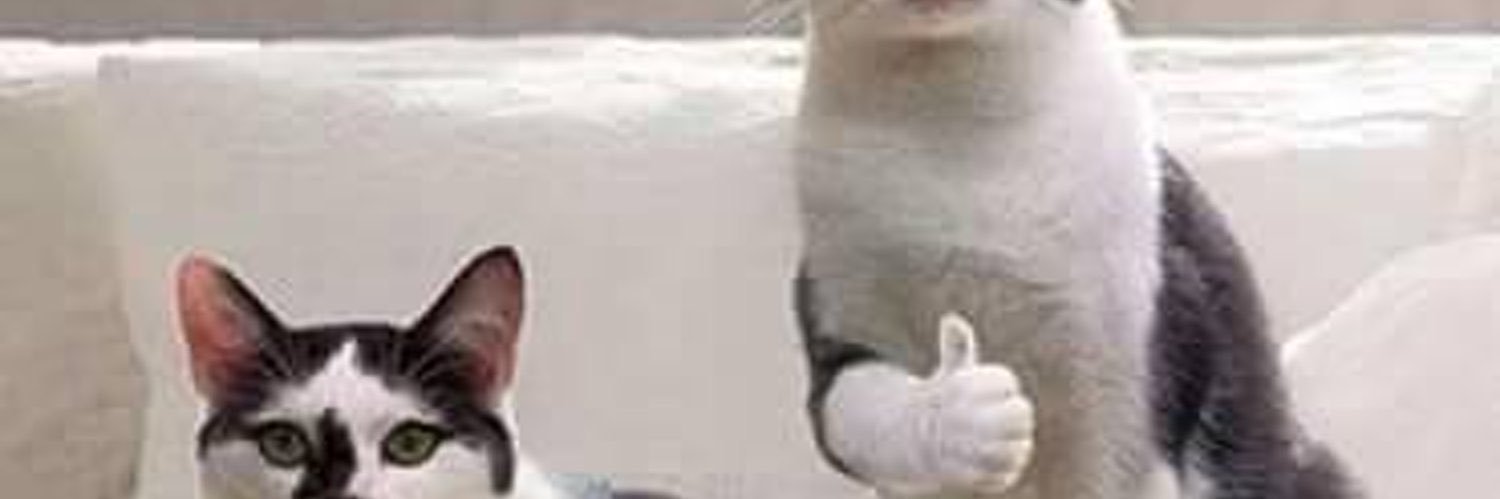 Spontan Uhuy!➐ banner