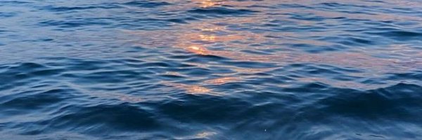 fatimah_qb Profile Banner
