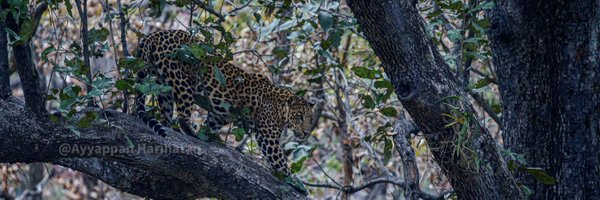 passivelyactive Profile Banner