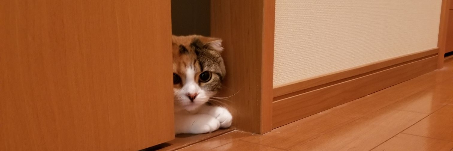 maruyann9's profile banner image