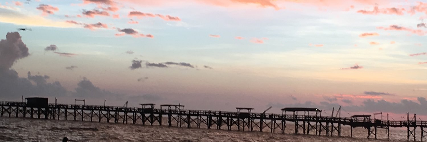 Butterflyrose_3's profile banner image