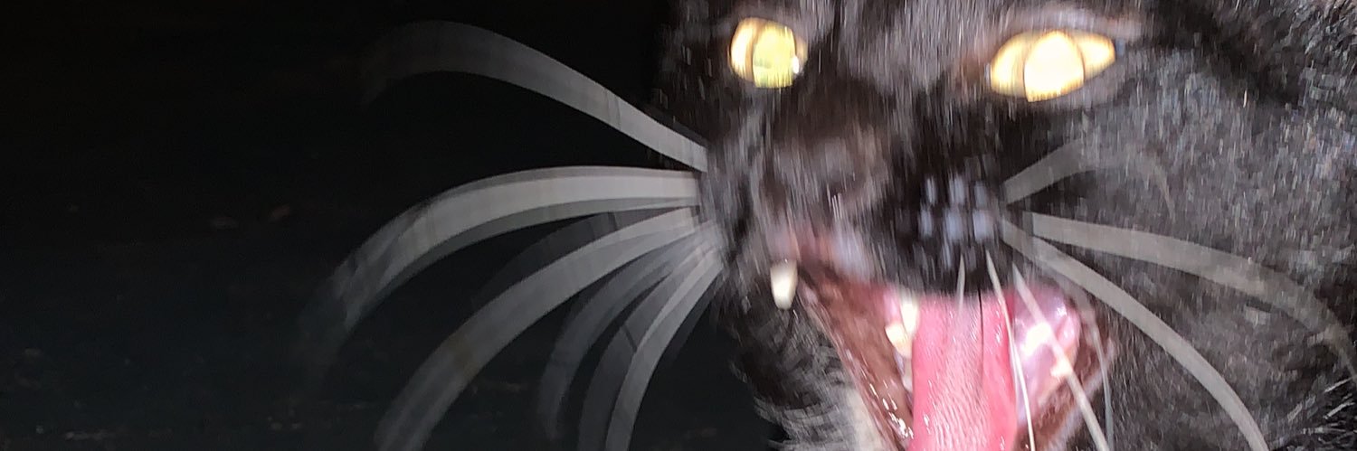 sophia daputa banner