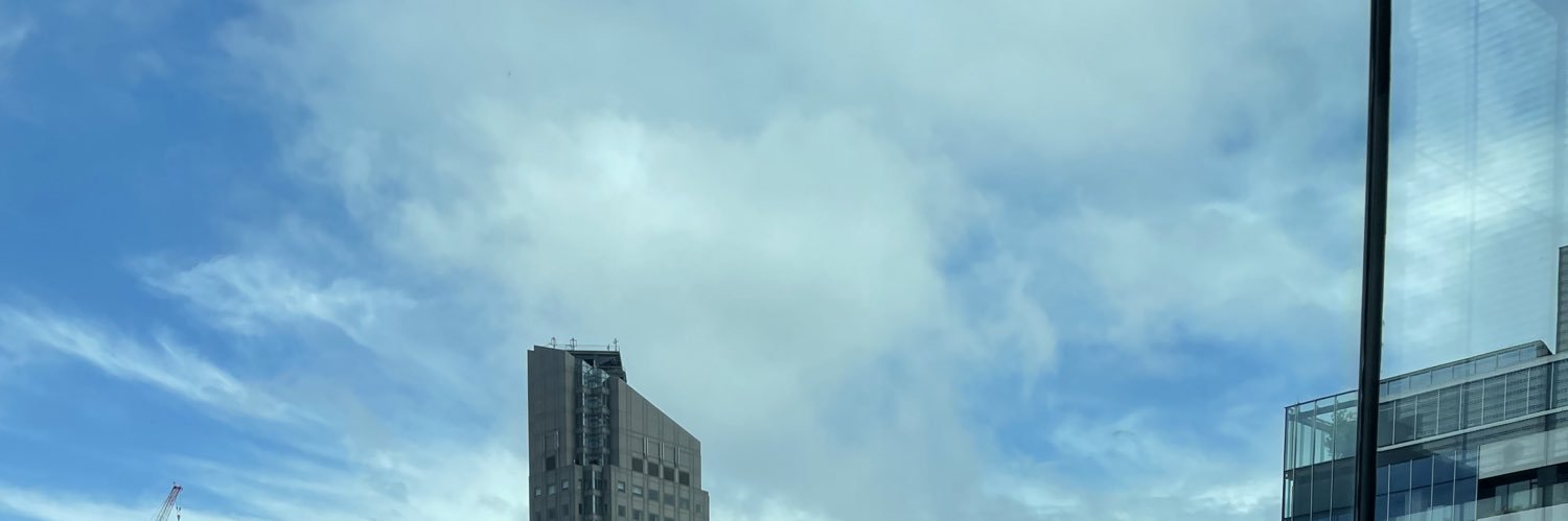 mrlsrlmrlsro's profile banner image
