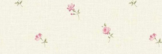 𐙚˙⋆ nadin banner