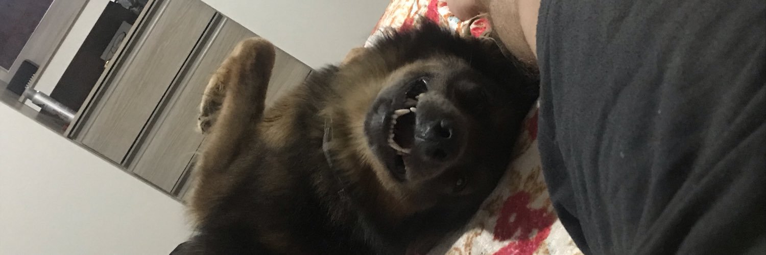 theuslliima's profile banner image