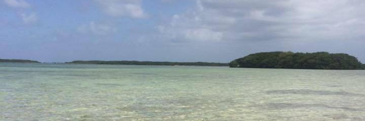 JPort561's profile banner image
