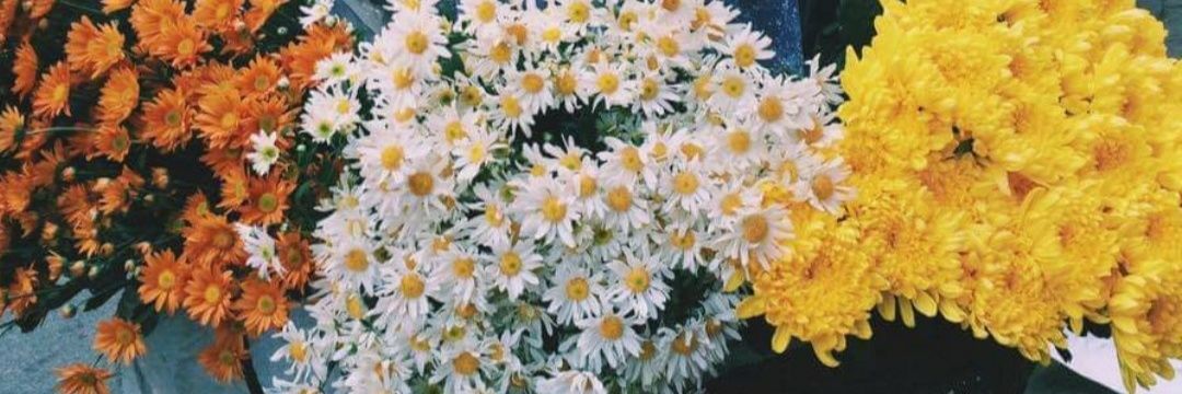 JomLi | ETHGas ⛽ banner