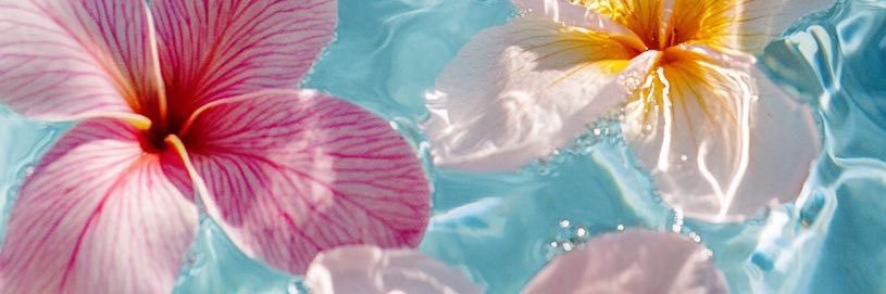 Motiittaa_'s profile banner image