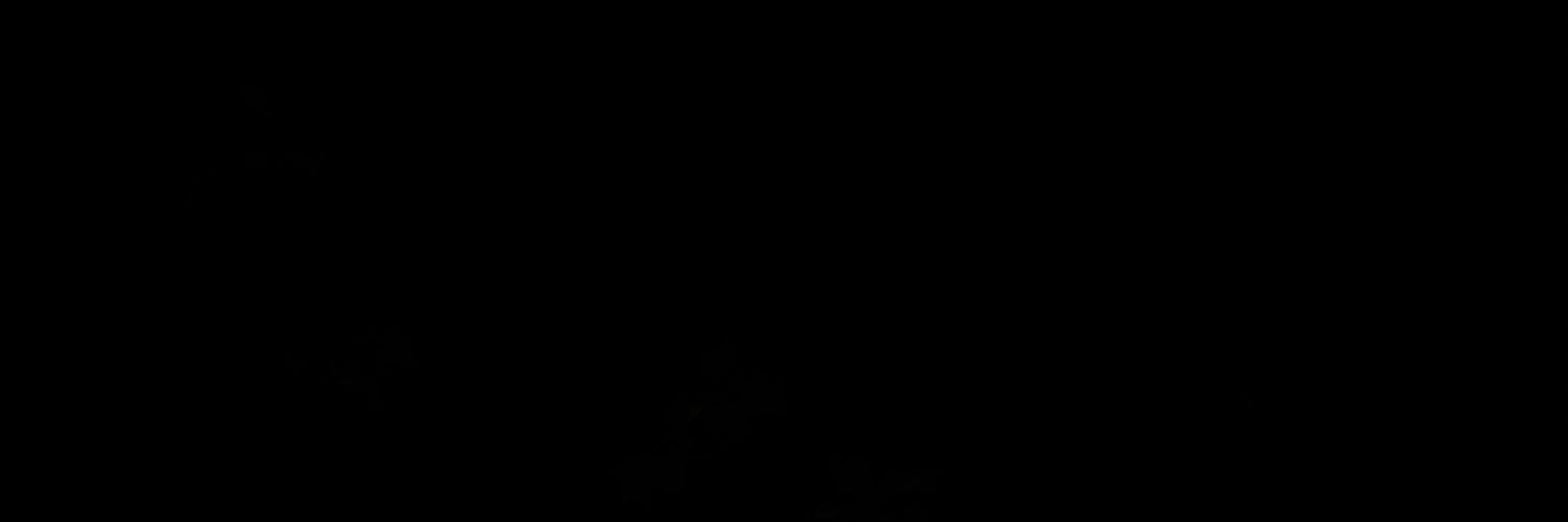 lesolitepaure's profile banner image