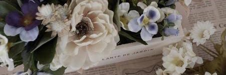 anne_a06's profile banner image