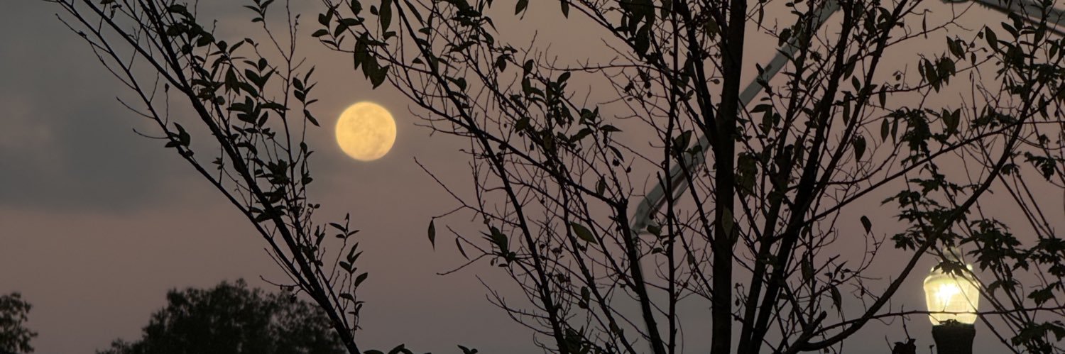 Aixabeboscanro's profile banner image
