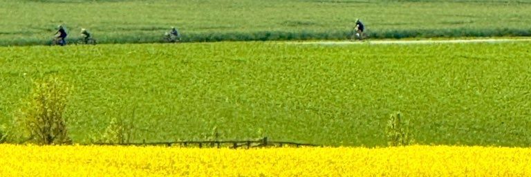 راتا رحیمی banner