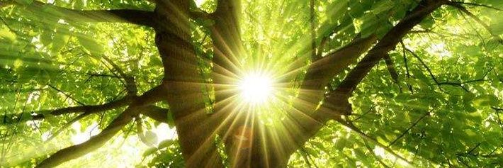 风吹草地2022 banner