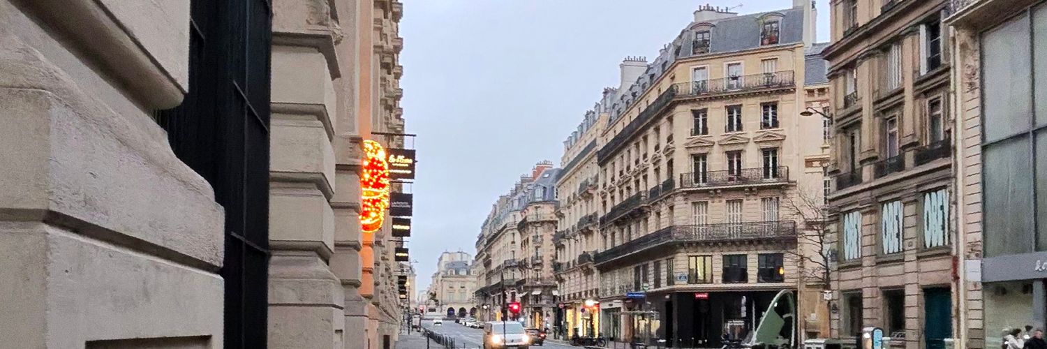 Tesla_Y 🇫🇷🇦🇺 banner