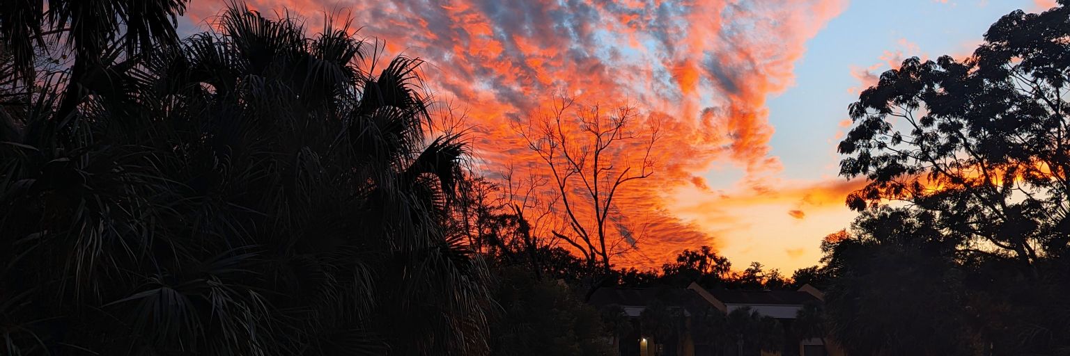 Cielo azulado Abu 🦋 banner