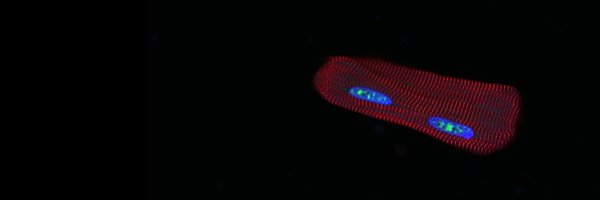 k8weeks Profile Banner