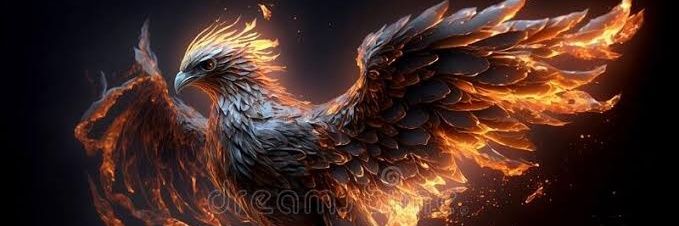 EvidenceLungelo's profile banner image