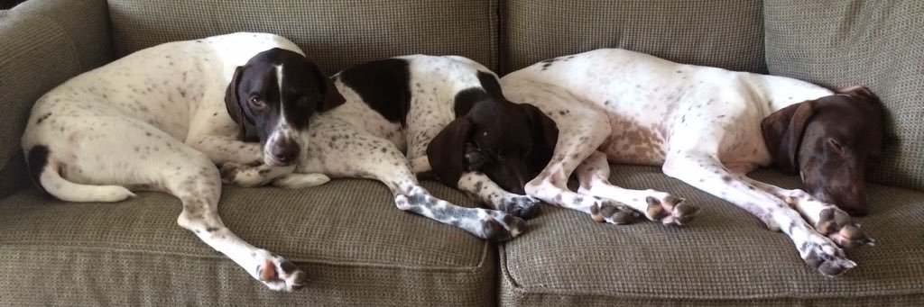 Cameron McCoy banner