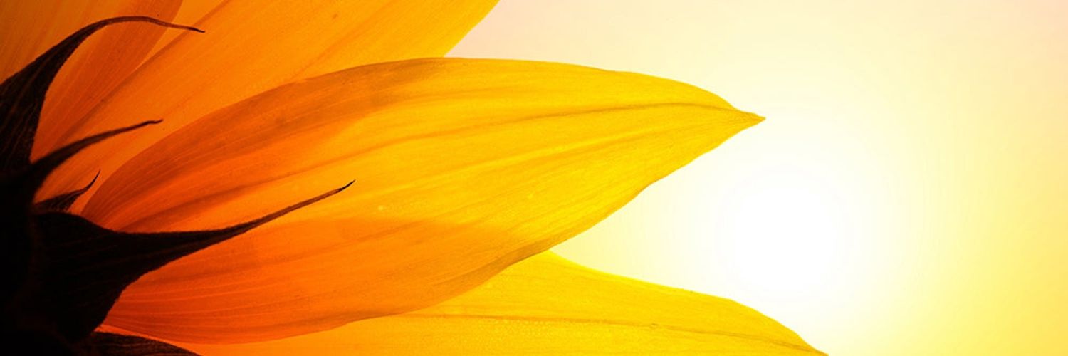 haluna_05's profile banner image