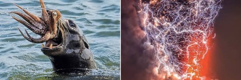 Nature is Awesome banner