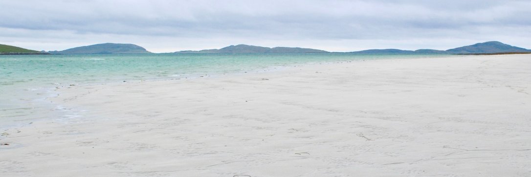 Dominic Hurst banner