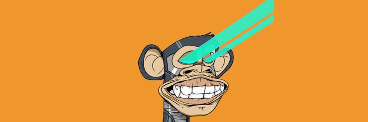 Nftbook2023's profile banner image