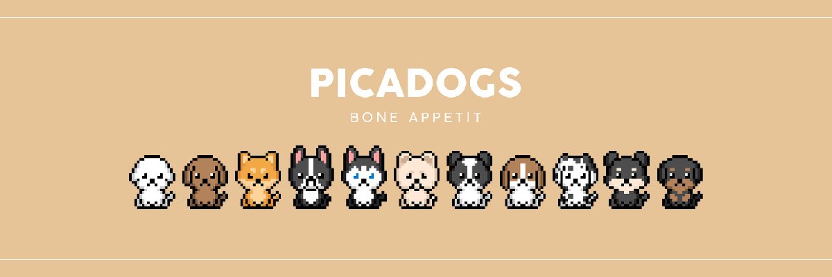 Picadogs NFT banner