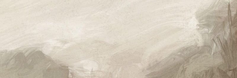 ev banner