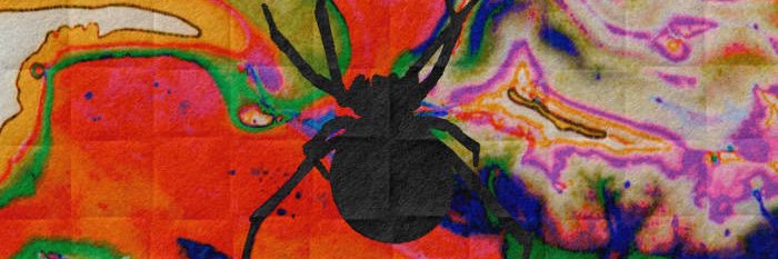 kiggs's profile banner image