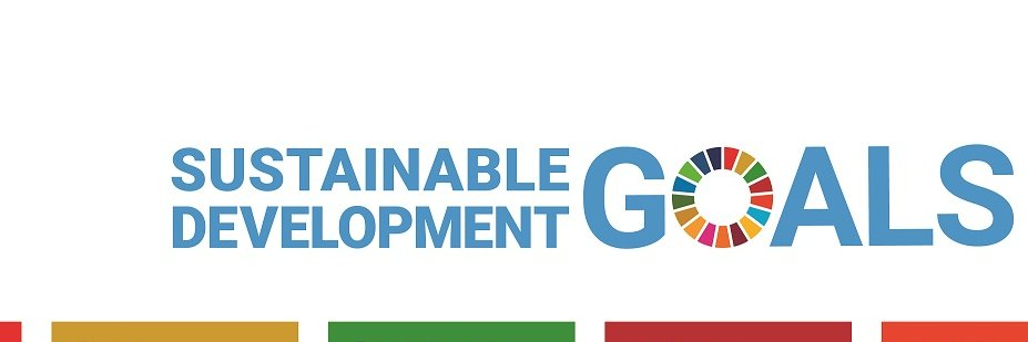 SDG Odisha banner