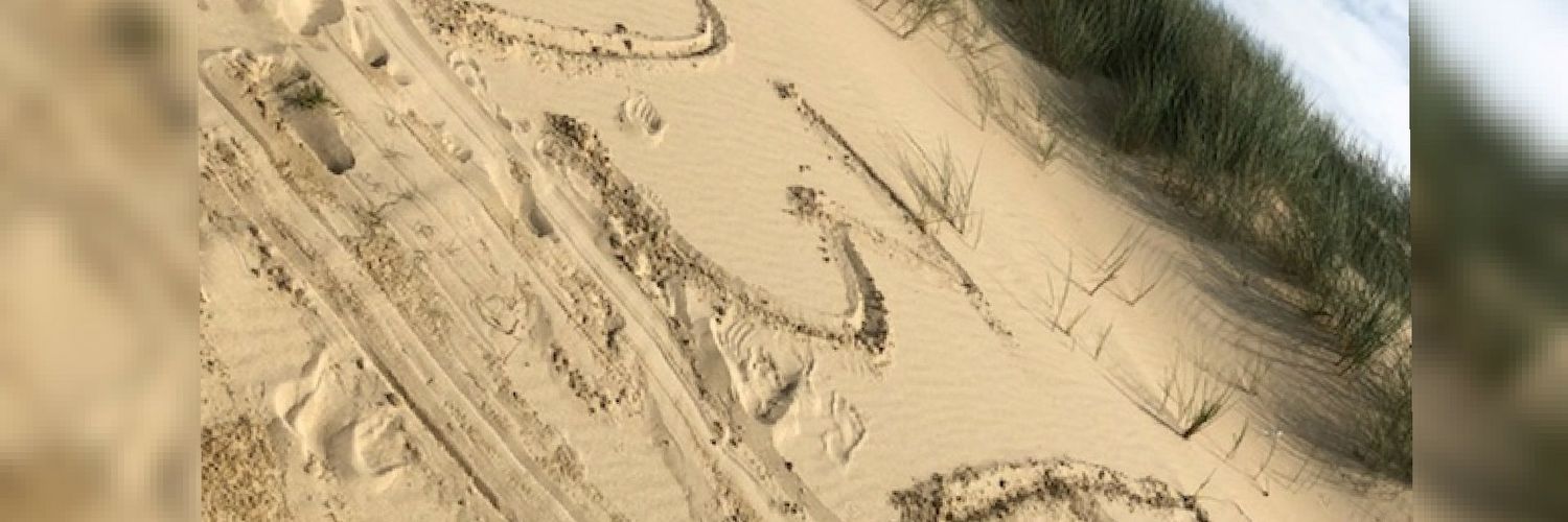 Nal_Aline's profile banner image
