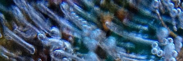 SEJKKN's profile banner image