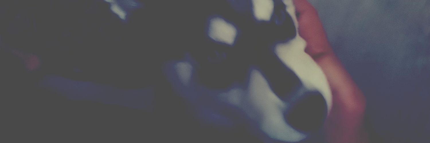 Luiz banner