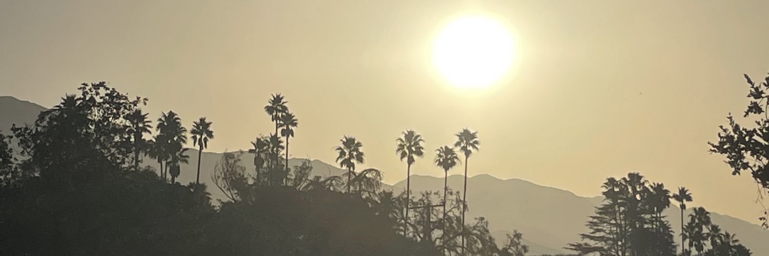 Monica DeVreese banner