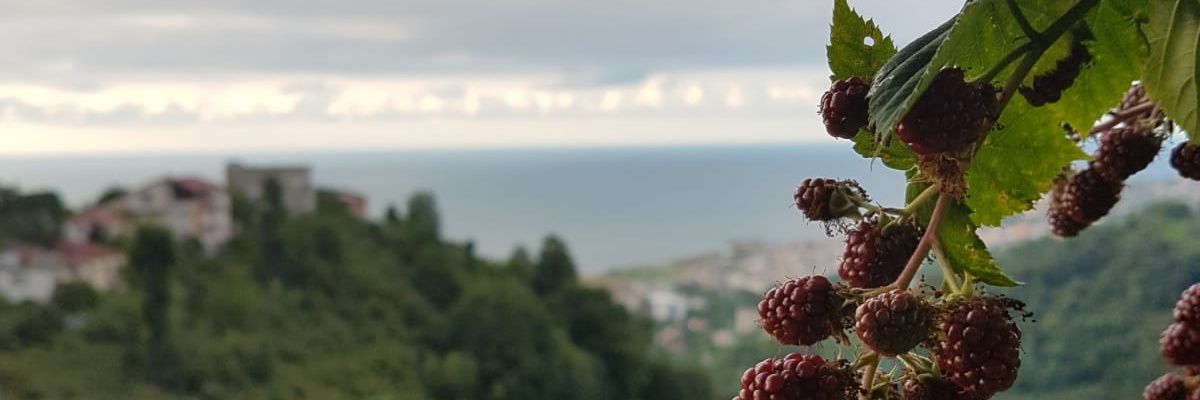 rukiye_c_'s profile banner image